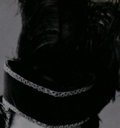 宝塚歌劇主題歌集　168　伴奏譜つき