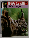 朝日百科　動物たちの地球　53