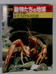 朝日百科動物たちの地球60
