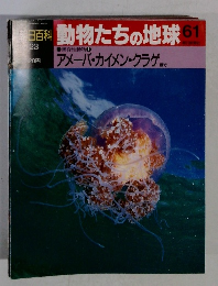 朝日百科　動物たちの地球　61
