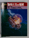 朝日百科　動物たちの地球　61