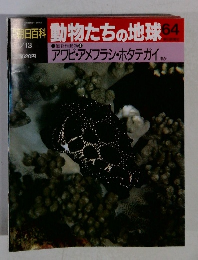 朝日百科　動物たちの地球64