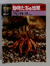朝日百科　動物たちの地球　68