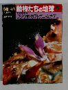 朝日百科　動物たちの地球70