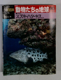 朝日百科動物たちの地球90