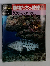 朝日百科動物たちの地球90