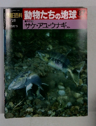 朝日百科動物たちの地球　87