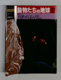朝日百科　動物たちの地球81