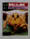 朝日百科動物たちの地球78