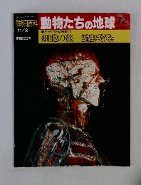 朝日百科　動物たちの地球72