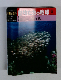 朝日百科　動物たちの地球6