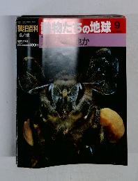 朝日百科 植物たちの地球 9 8/18