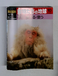 物たちの地球　10