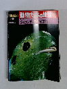 朝日百科 動物たちの地球　30 1/19