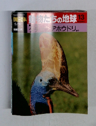 動物たちの地球　13　9/15号