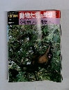 朝日百科　動物たちの地球　42