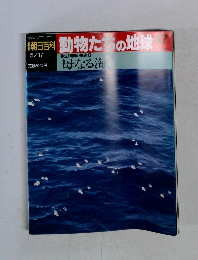 朝日百科　動物たちの地球　47