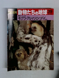 動物たちの地球　39　モグラ・アルマジロ・ツパイ