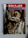 動物たちの地球　39　モグラ・アルマジロ・ツパイ