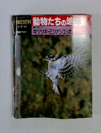 朝日百科 動物たちの地球 29　1/5・12
