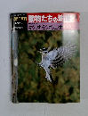 朝日百科 動物たちの地球 29　1/5・12