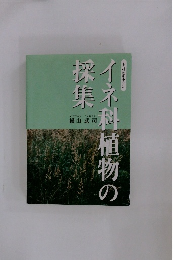 イネ科植物の
採集