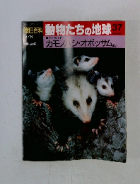 動物たちの地球 37 カモノハシ・オポッサムほか 