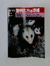 動物たちの地球 37 カモノハシ・オポッサムほか 