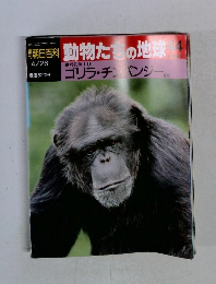 朝日百科　動物たちの地球　44