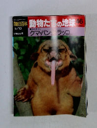 朝日百科　動物たちの地球　46　クマ・パン ラッコ