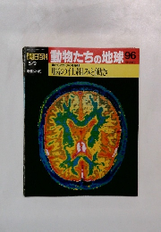 朝日百科 5/2　動物たちの地球　96　脳の仕組みと働き