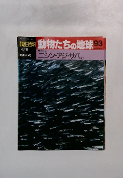 朝日百科　動物たちの地球　93　ニシン・アジ・サバ　