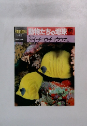 朝日百科 動物たちの地球 91　3/28号