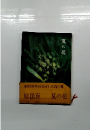昭和20年8月6日 広島の夏 原民喜 夏の花