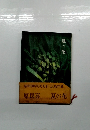昭和20年8月6日 広島の夏 原民喜 夏の花
