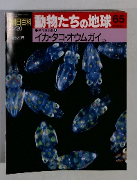 動物たちの地球 65