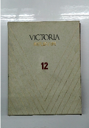 VICTORIA 現代新宿料 12
