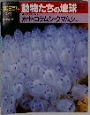 朝日百科 動物たちの地球 67