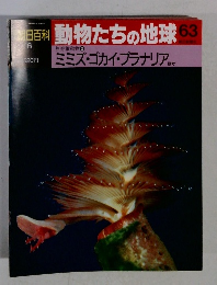 朝日百科　動物たちの地球　63　ミミズ・ゴカイ・プラナリア