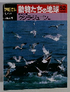 朝日百科　動物たちの地球52　クジラ・ジュゴン