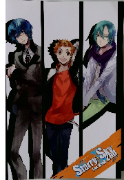 Starry Sky Fan Book 2nd