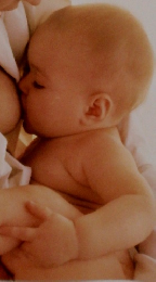 朝日百科 動物たちの地球 108　7/25号　