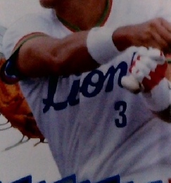 フロ野球　2011年5月号