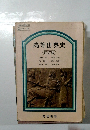 高等世界史 初訂版