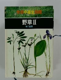 野草Ⅱ　単子葉類