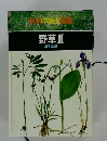 野草Ⅱ　単子葉類