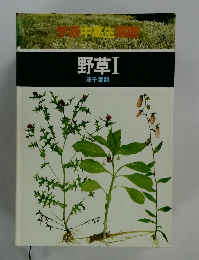 野草Ⅰ双子葉類