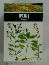 野草Ⅰ双子葉類