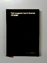 Prof. Yamaguchi's English Grammar TRY AGAIN!