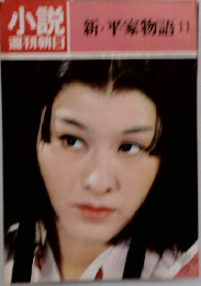 新・平家物語11